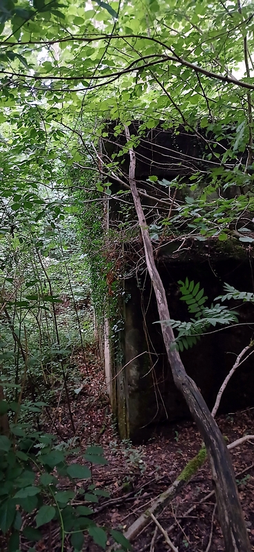 20250722 123715 bunkers valkenburg 800